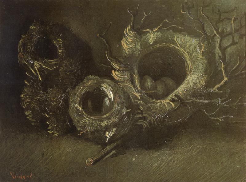 Vincent Van Gogh Still life wtih Three Birds'Nests (nn04) Norge oil painting art